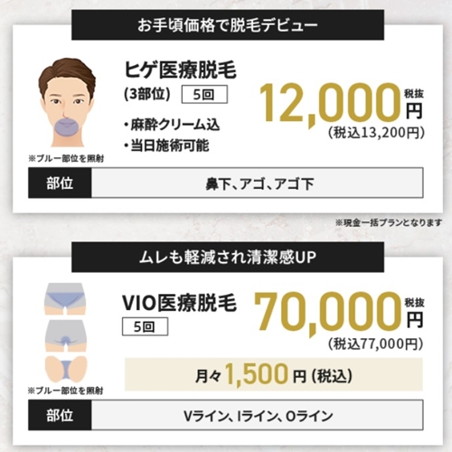 メンズ脱毛プラン2